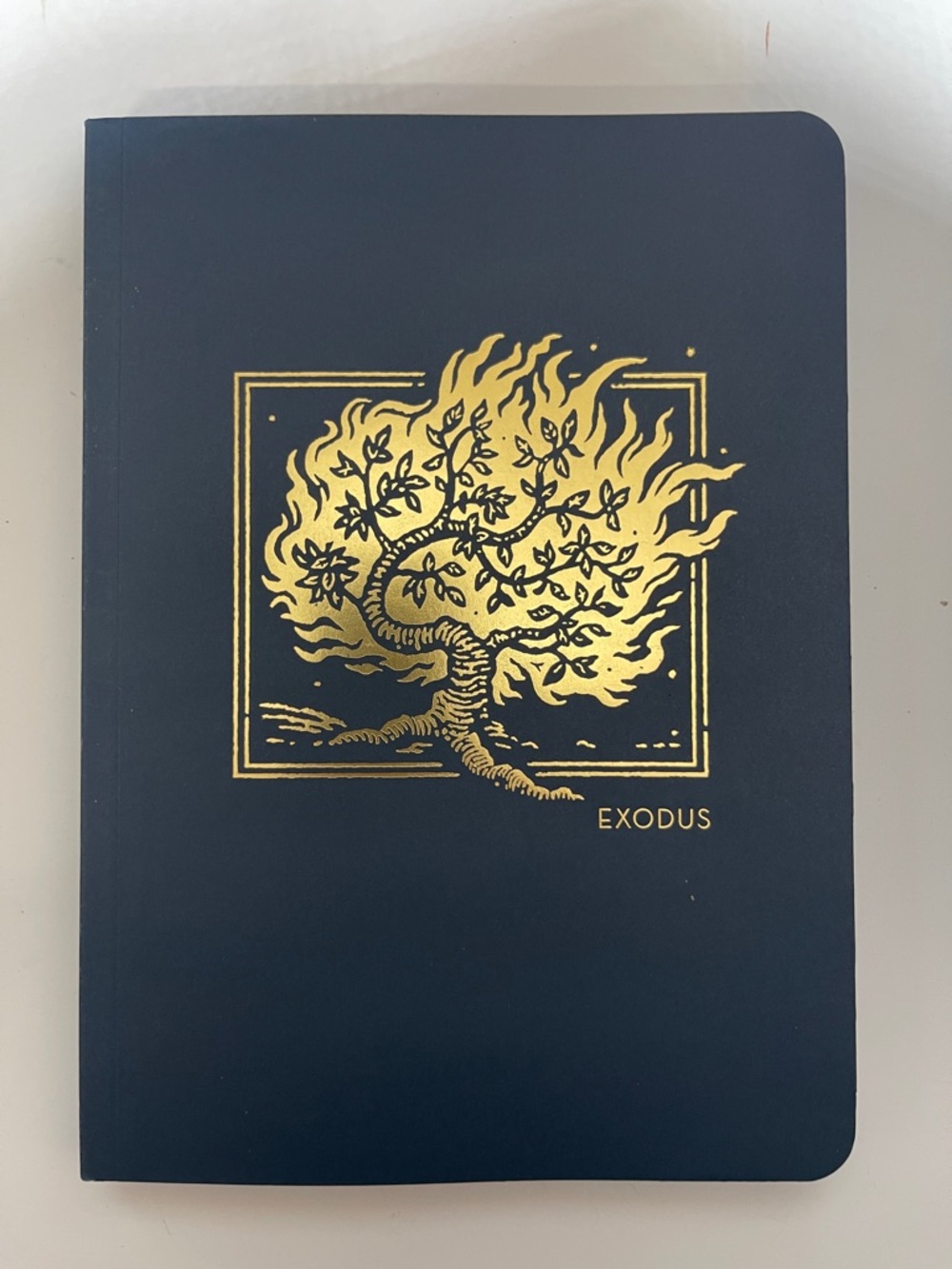 3/$10 Exodus Navy Blue Interactive Journal with Gold Foil Illustration